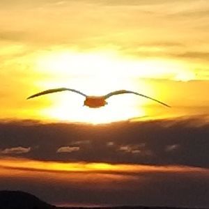 Meet your Posher, A.r.